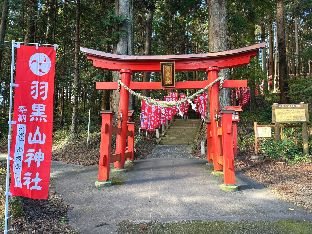 サンプル画像