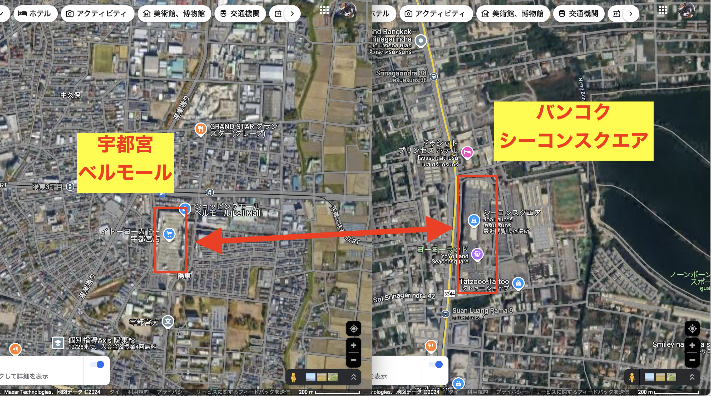 サンプル画像