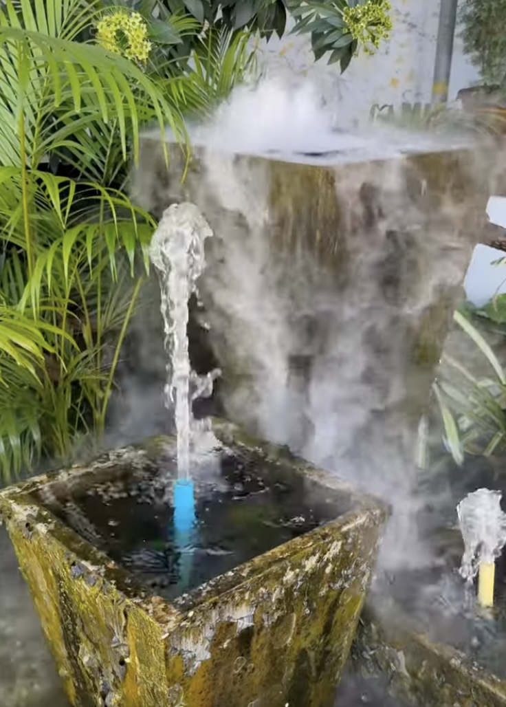 サンプル画像