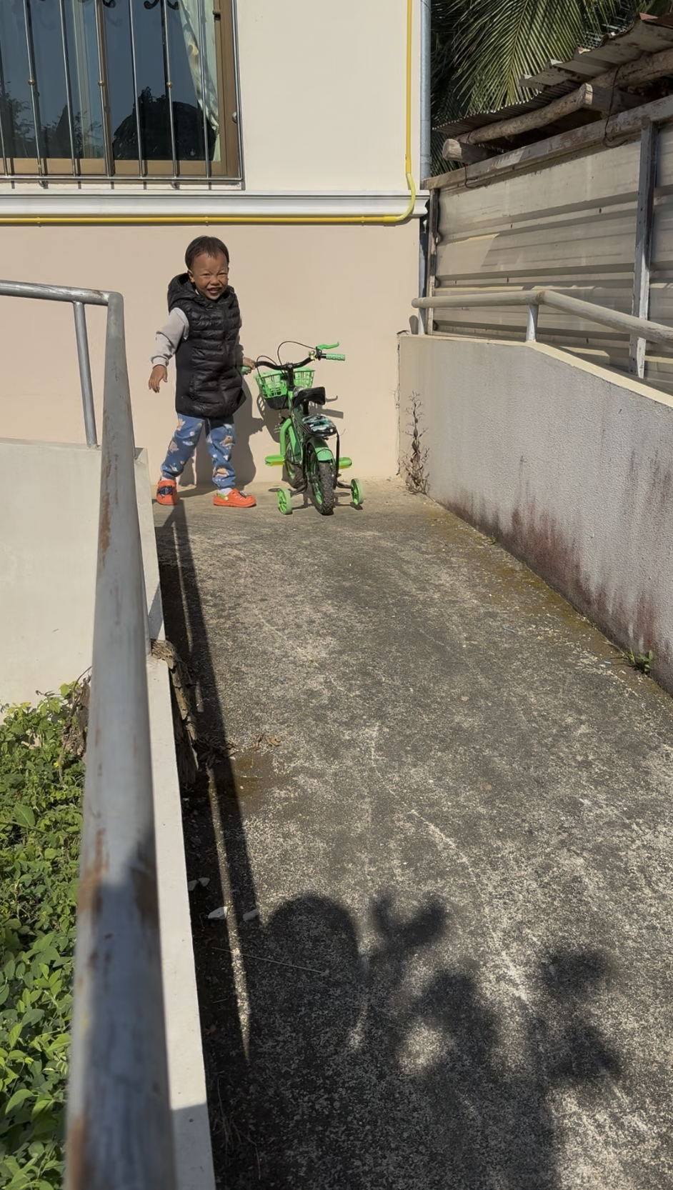 サンプル画像