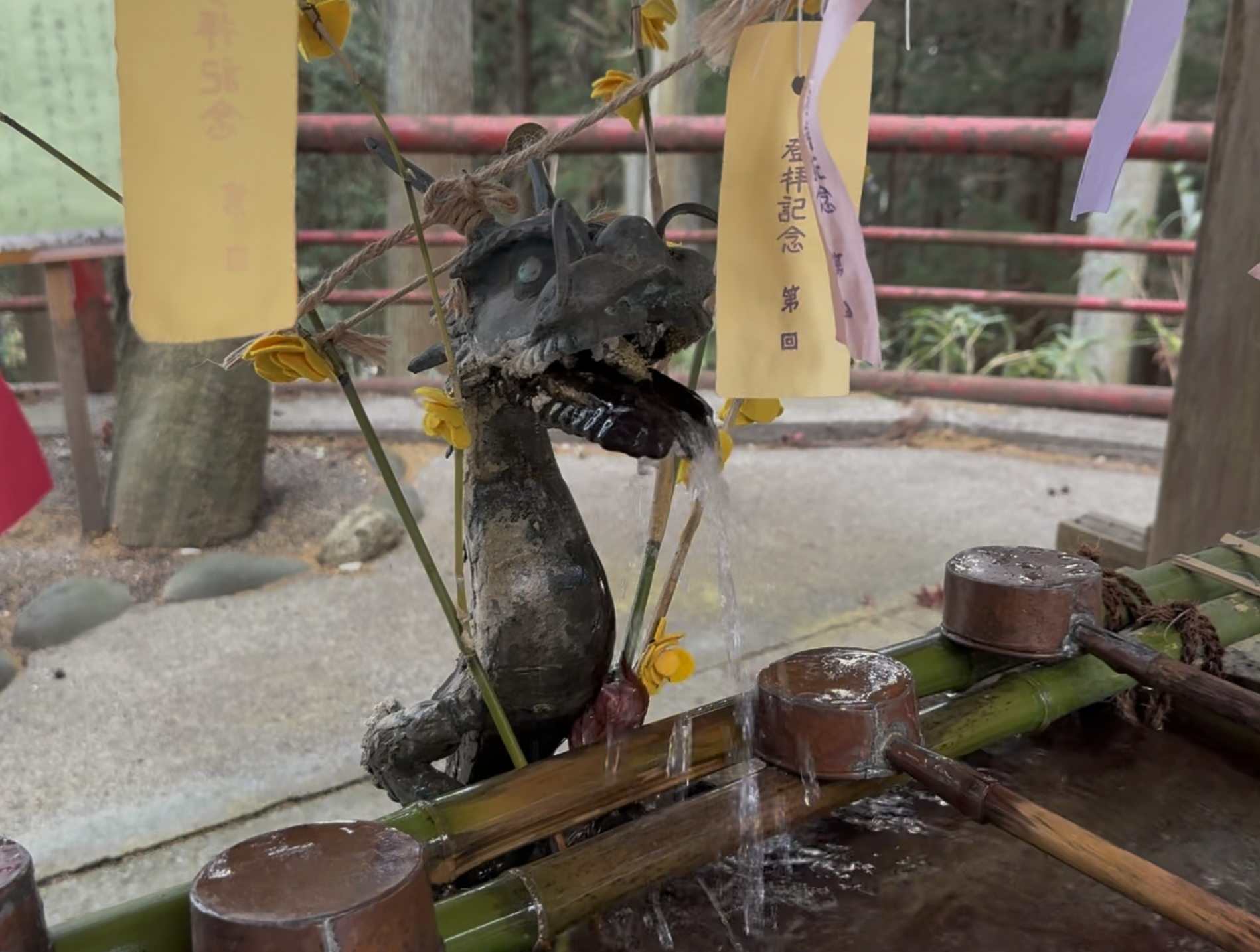 サンプル画像