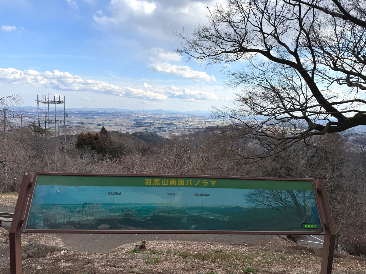 サンプル画像