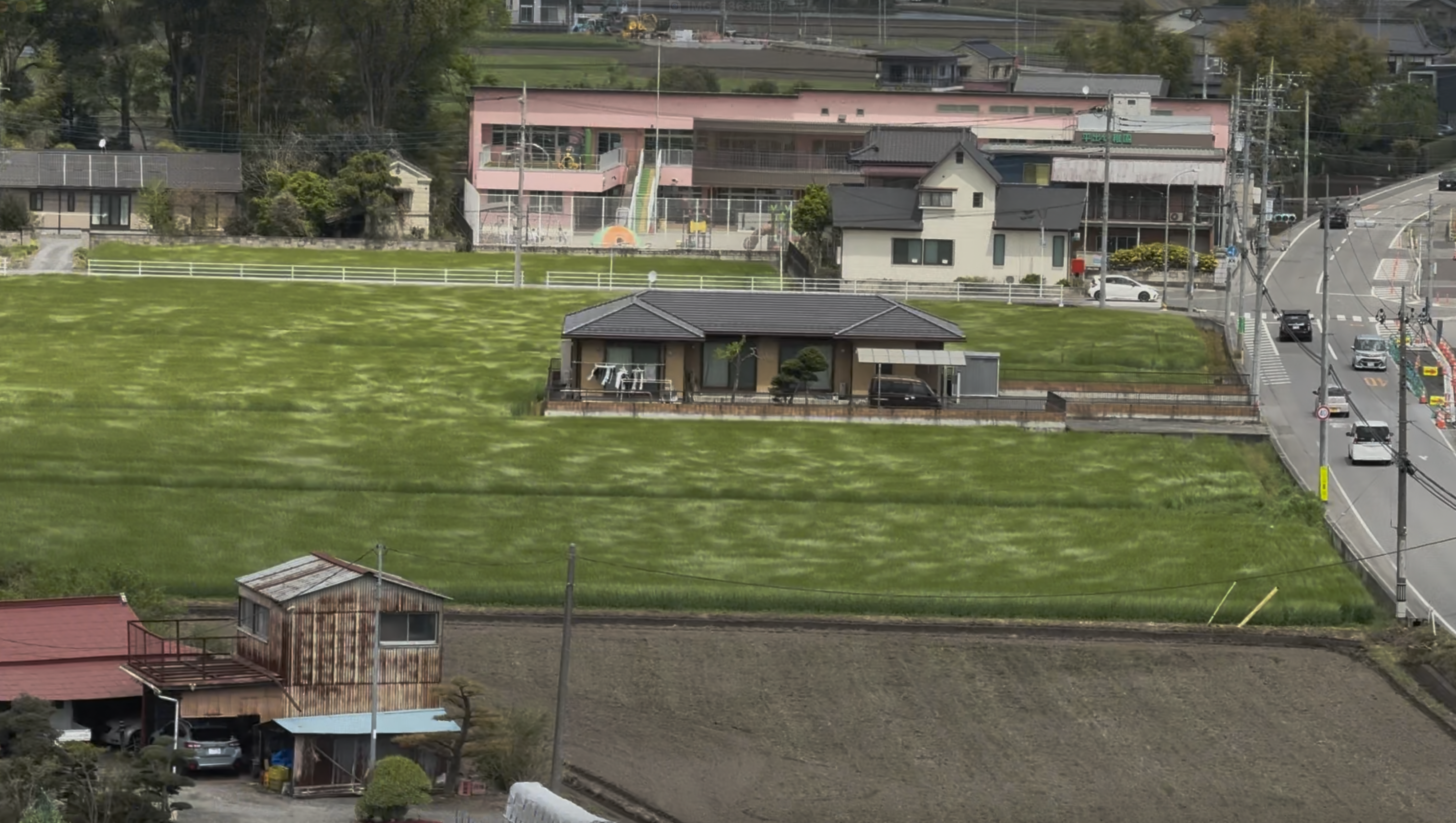 サンプル画像