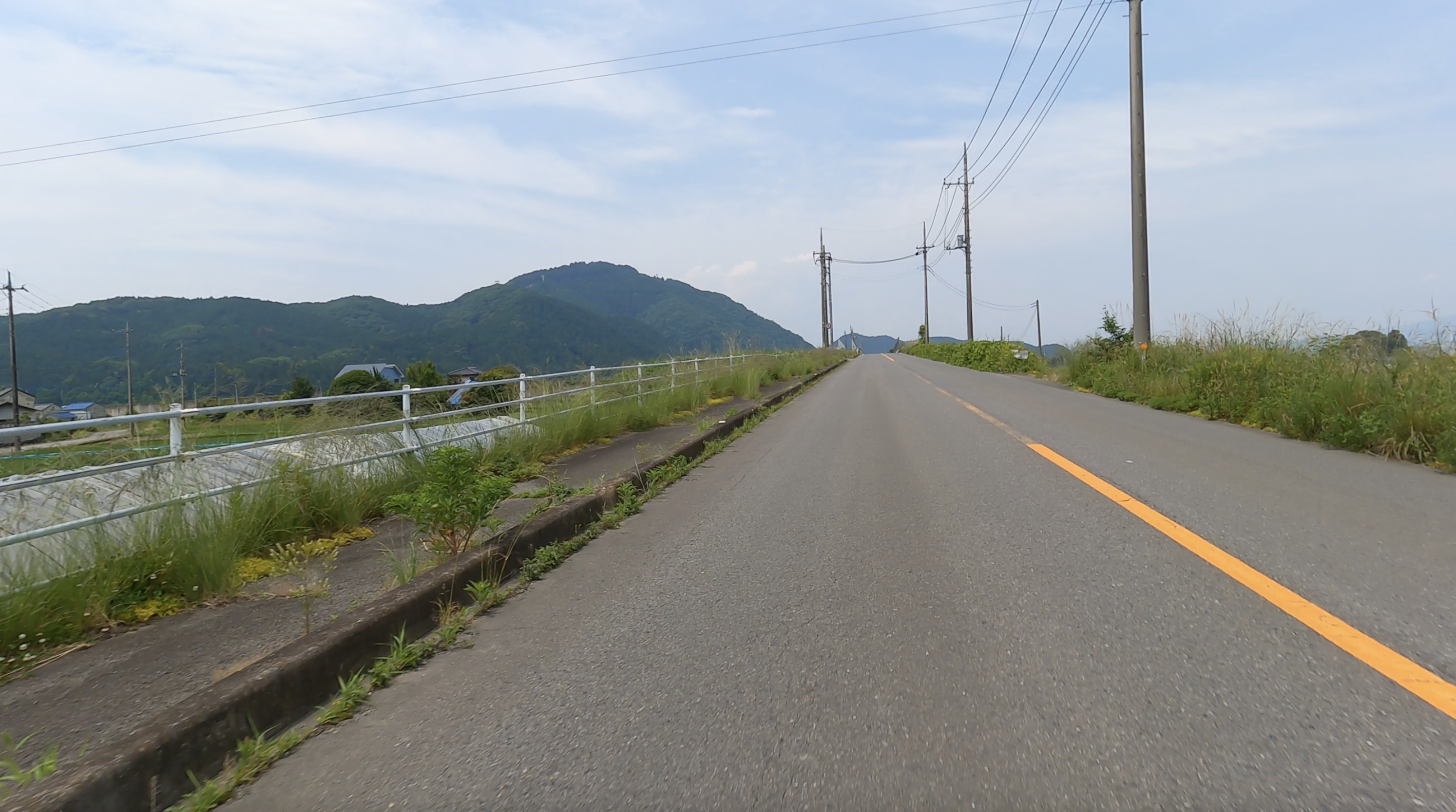 サンプル画像